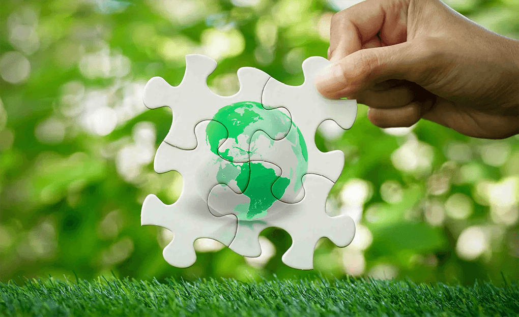 Commitment Towards Sustainable & Green Practices